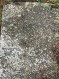 image of grave number 510145